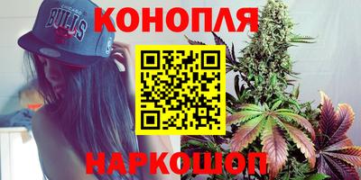 индика Кунгур