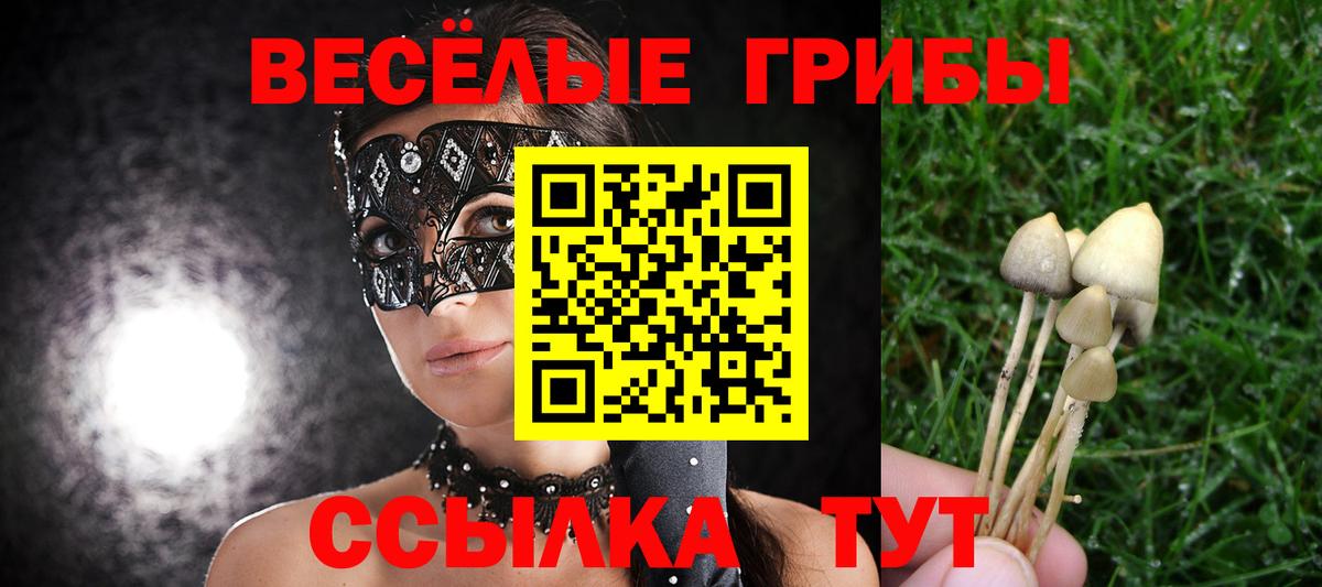 Карпинск  Галлюциногенные грибы прущие грибы  закладки  Вход с VPN 
